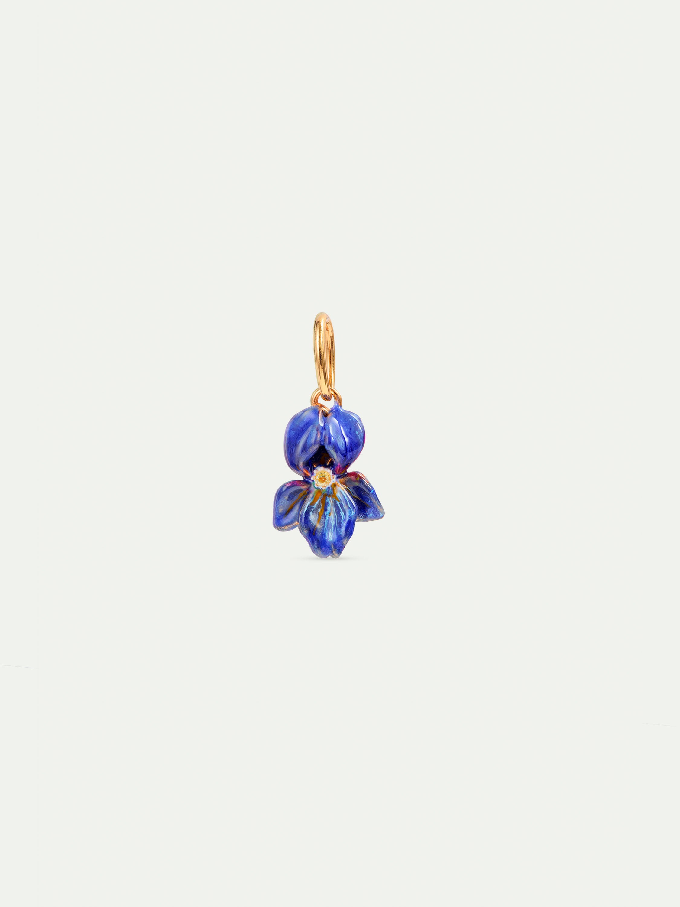 Vincent's Iris pendant, Magnetism and Knowledge