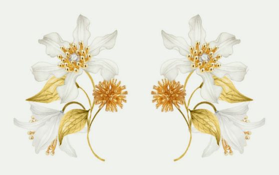 Large white clematis, laurel and japanese kerria earrings