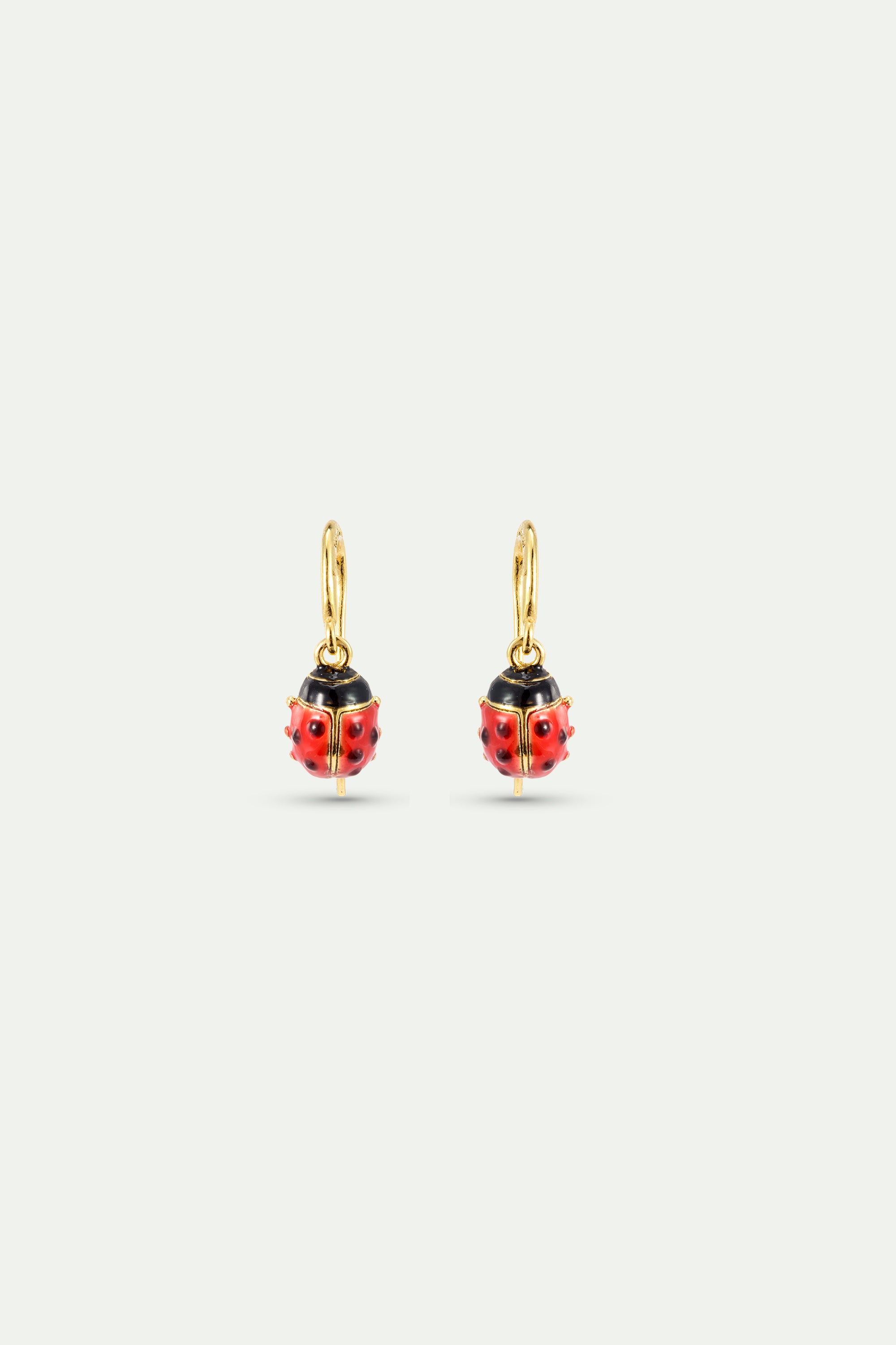 Red and black ladybird hook earrings