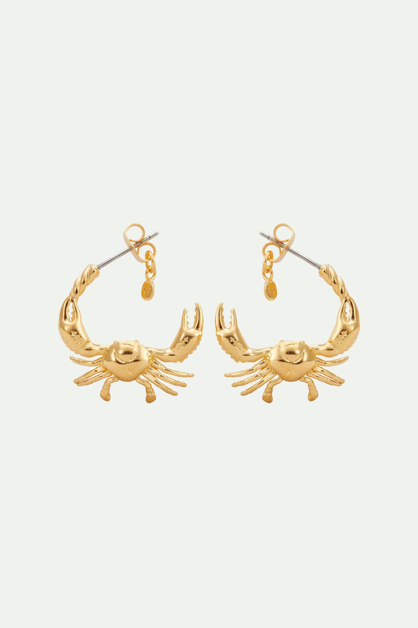 Cancer zodiac sign hoops earrings