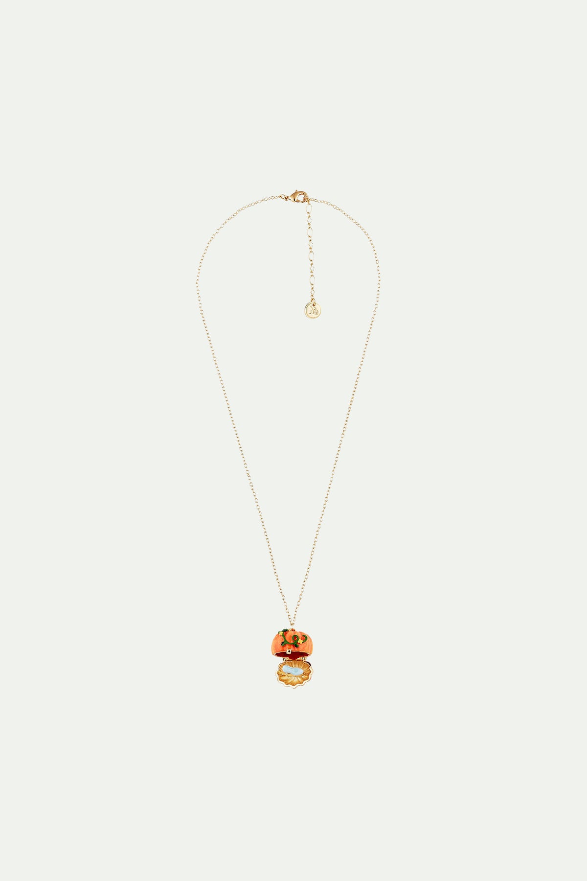Pumpkin and Slipper secret necklace
