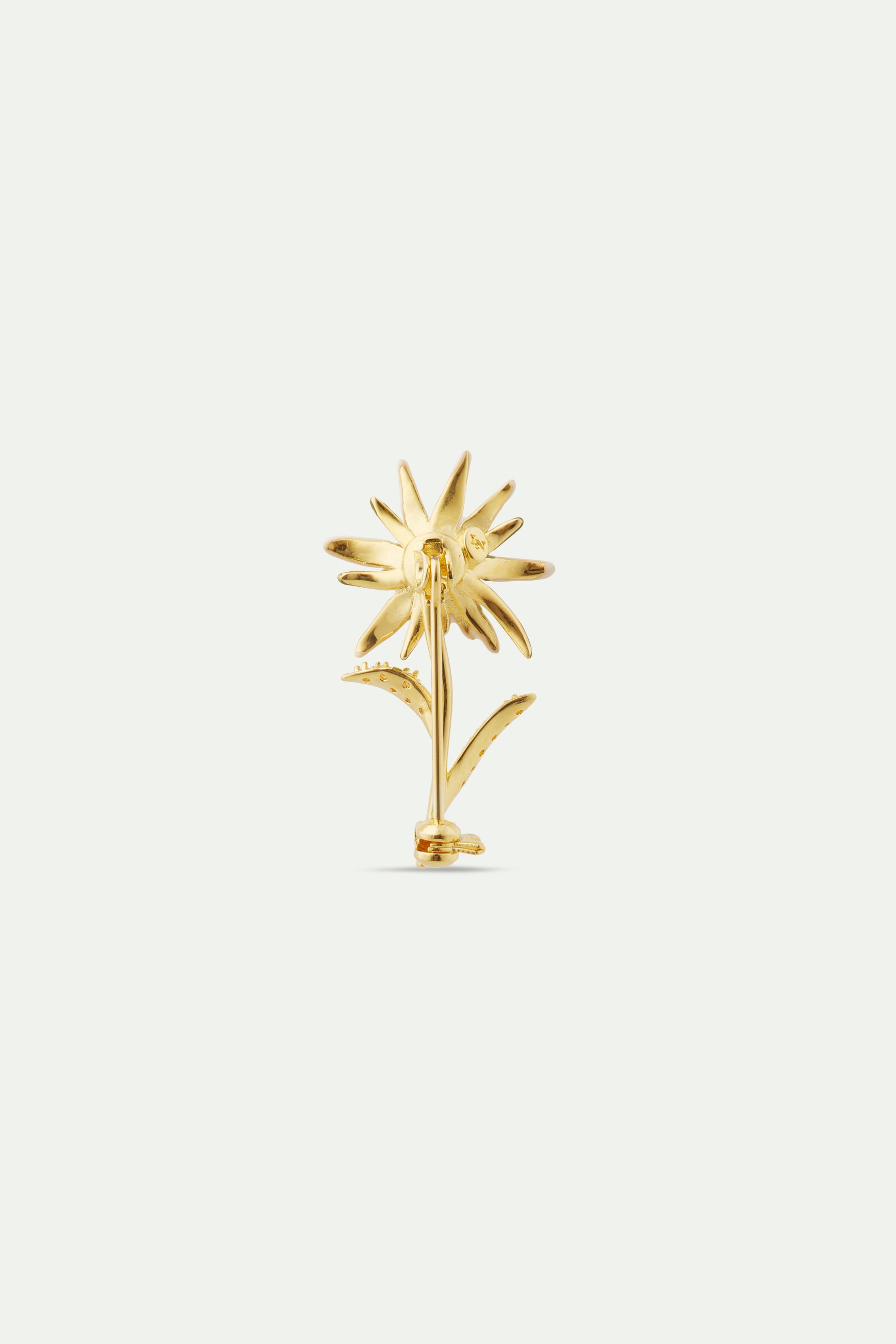 Edelweiss flower brooch