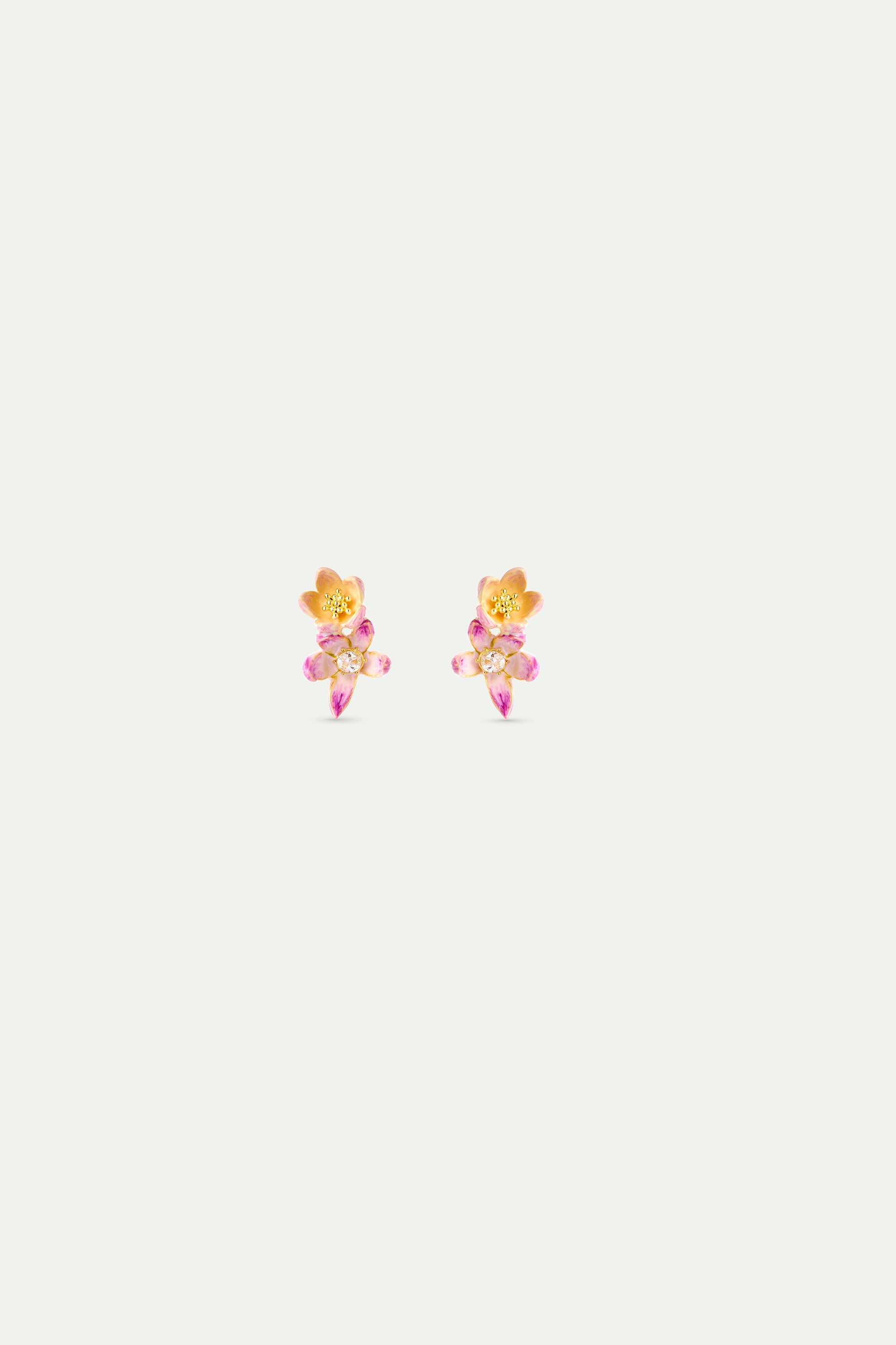 Clip Earrings VALLEE DES MERVEILLES