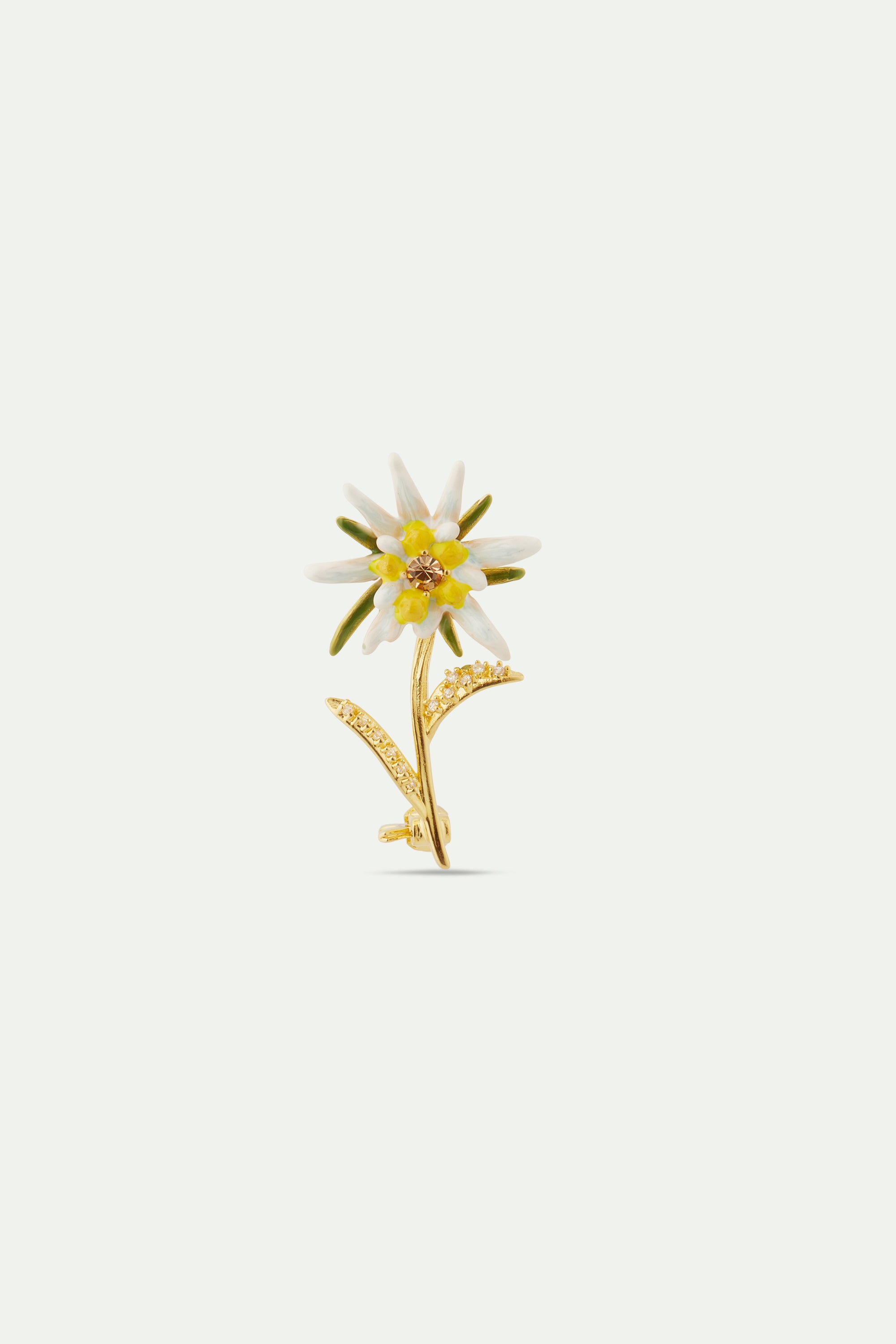 Edelweiss flower brooch