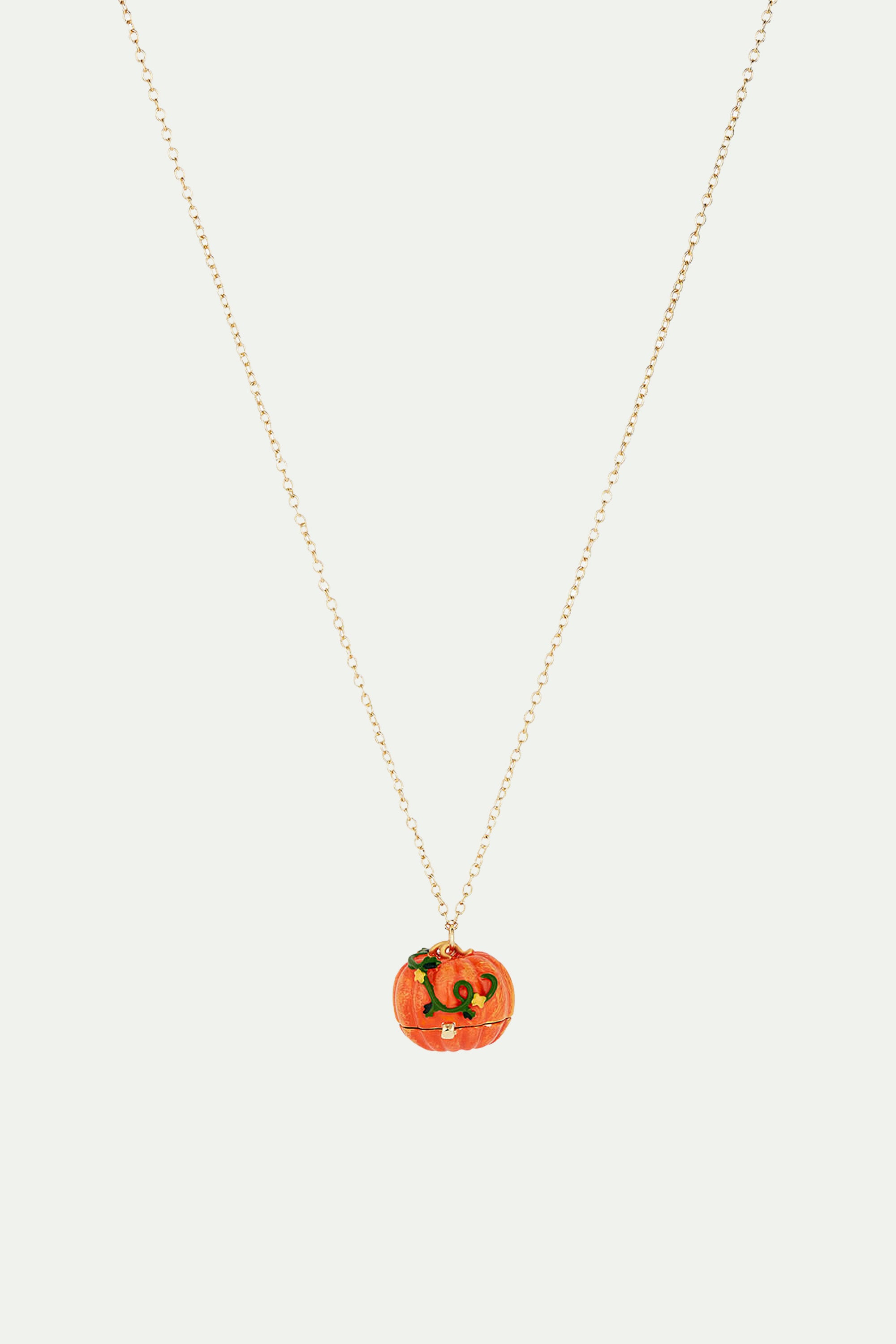 Pumpkin and Slipper secret necklace