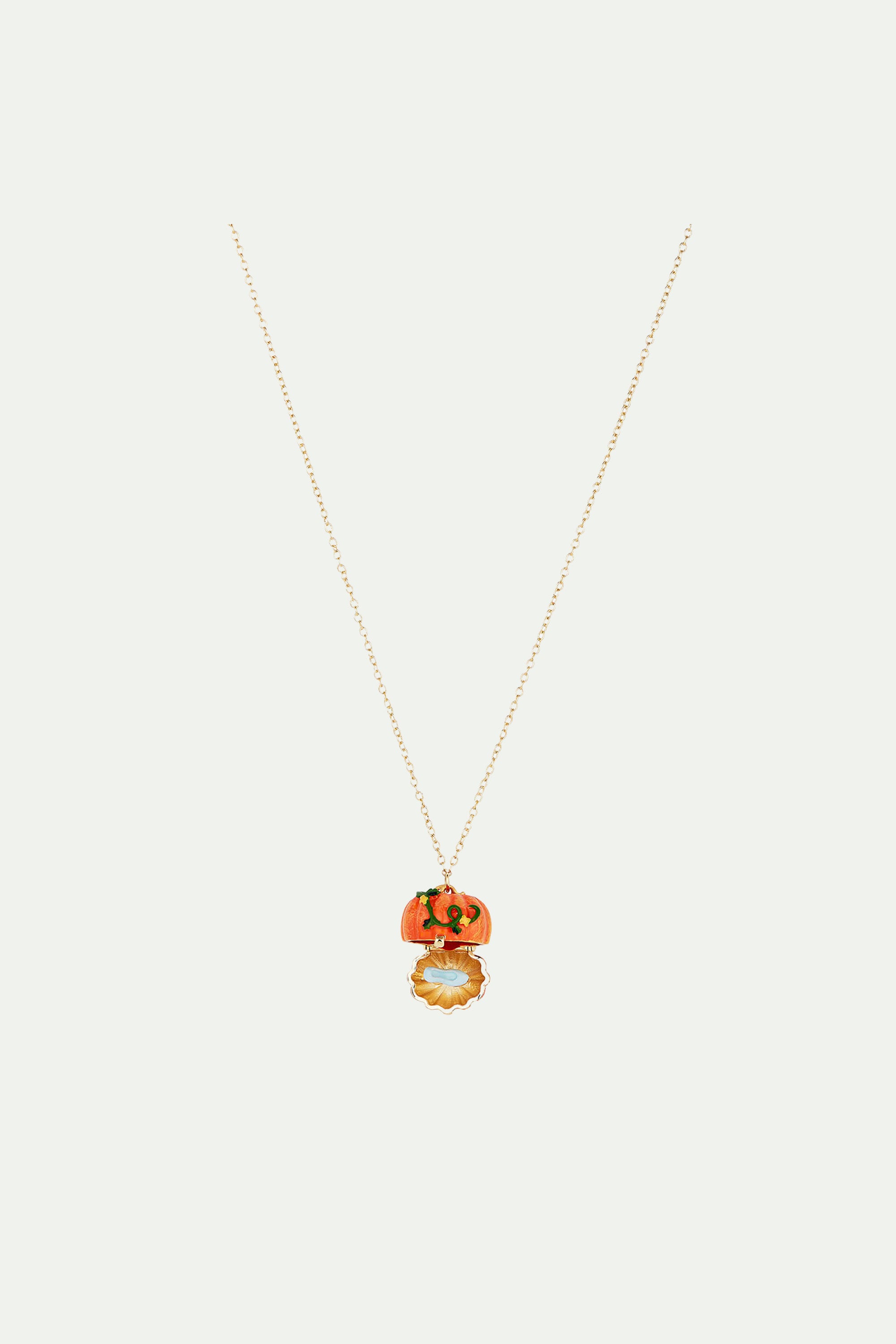 Pumpkin and Slipper secret necklace